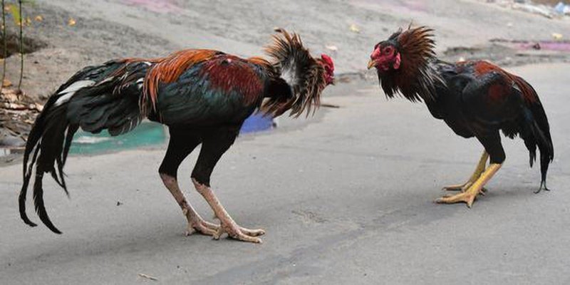 Những điều cần nắm rõ trong một trận đấu