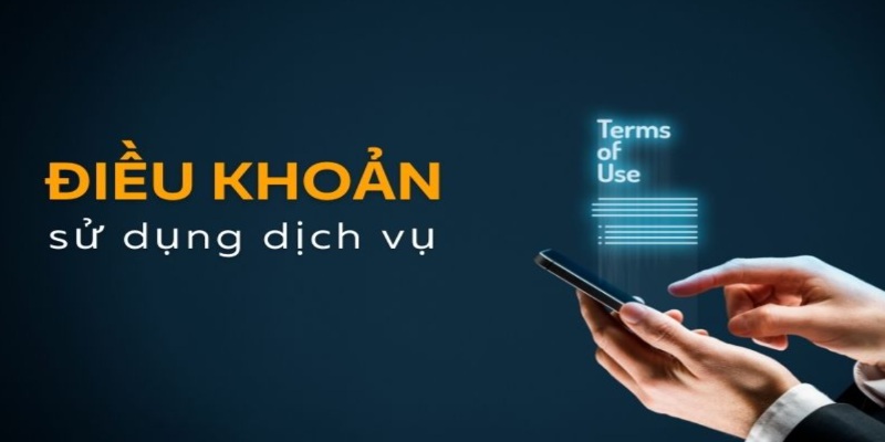 Sơ lược vài thông tin về điều khoản sử dụng